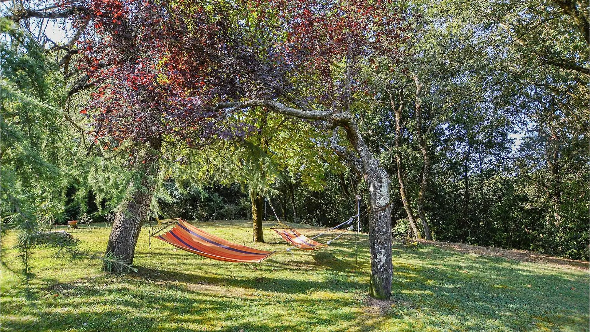 Feriehus Beautiful Home In Civitella Val Di Chian Oliveto  Italien
